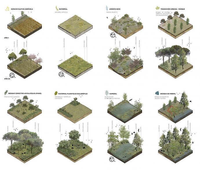MANANTIAL-SUR_Habitats-principales_aldayjover-copy-1170x997