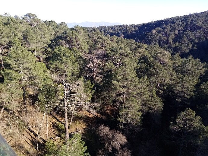 IMG_20221228_152941_Easy-Resize.com