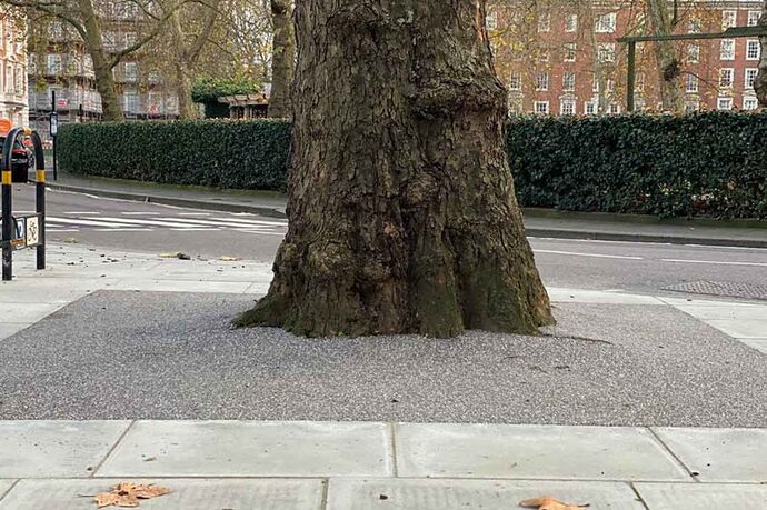 Grosvenor-Square-resin-bound-tree-pit-4-800x533