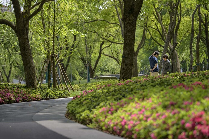 15_exi_tree__new_groundcover_R1_High_022_©_Wang_Zilu
