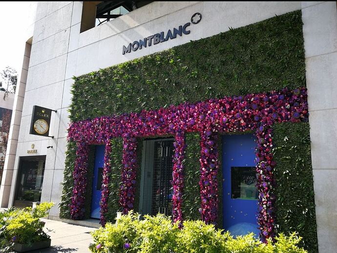 flores 1 - copia