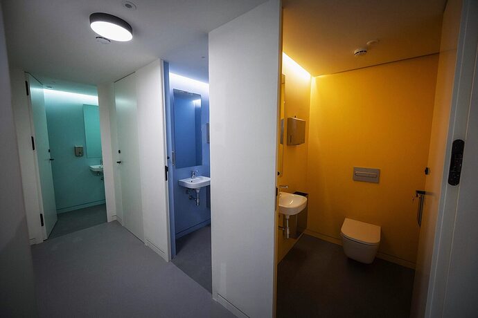 Zona-de-aseos-del-nuevo-centro-cultural-con-biblioteca-de-Montecarmelo-1500x1000