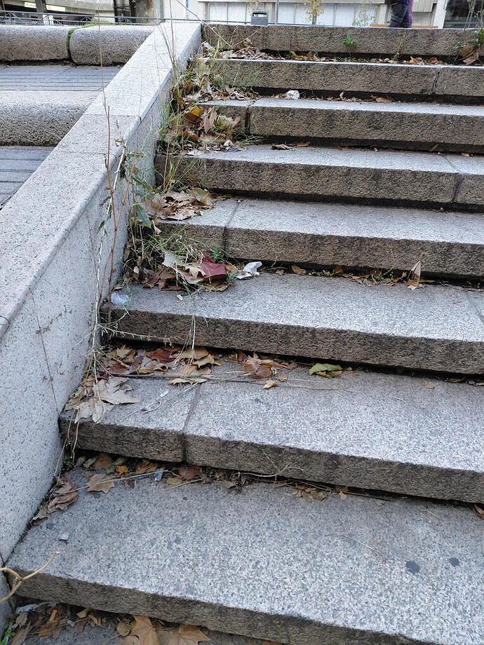 IMG_20251118_091625_191