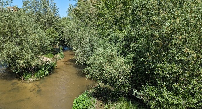 PXL_20240416_124018413