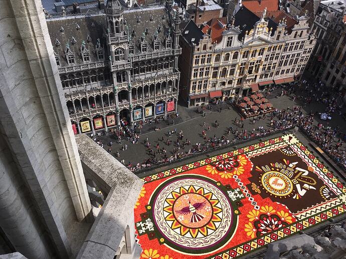 flower-carpet-mexico-uriangato-roo-viridiana-miron2