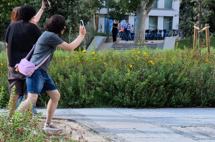 Captura de pantalla 2024-08-19 a las 9.30.13