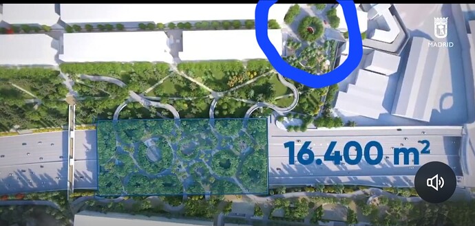 1000037139