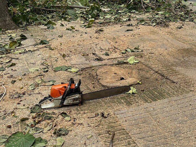 c0c16aba-ed10-4107-813e-fad09ae6fa5c