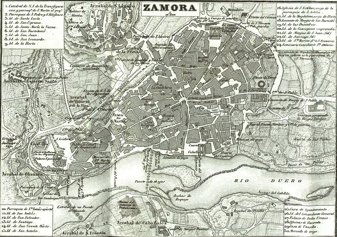 Mapa_de_Zamora,_1863,_por_Francisco_Coello
