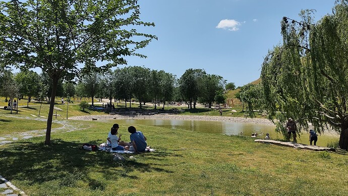 IMG_20220516_140548416_HDR