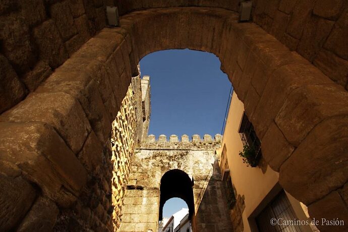 ALCAZAR-PUERTA-DE-SEVILLA-8-1024x683