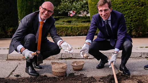 900420683_250788671_1706x960