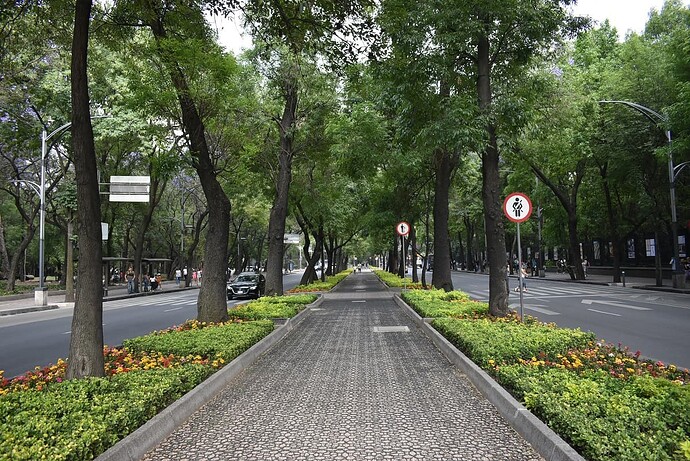 NIK_2645 (2)