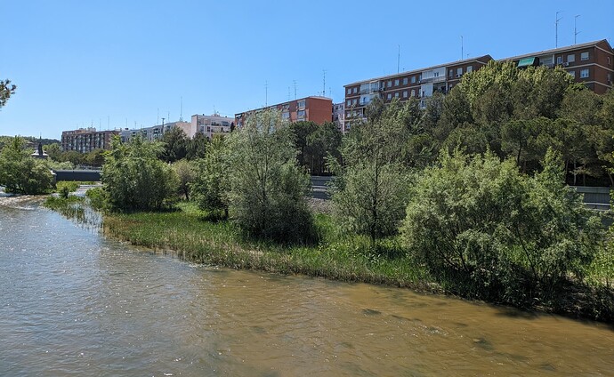 PXL_20240416_123429457