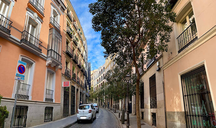 cañiz