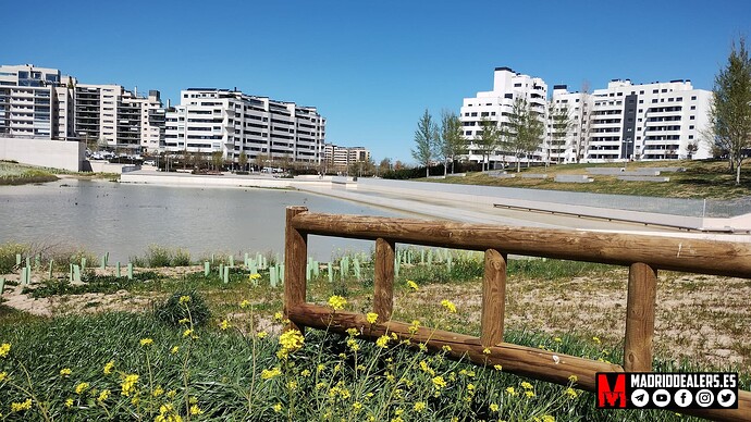 IMG_20230326_151757081