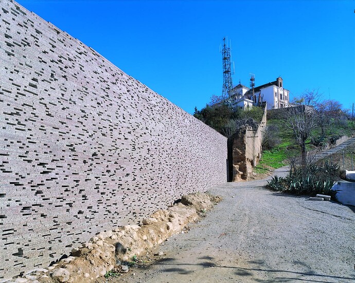 muralla_y_san_miguel_rec