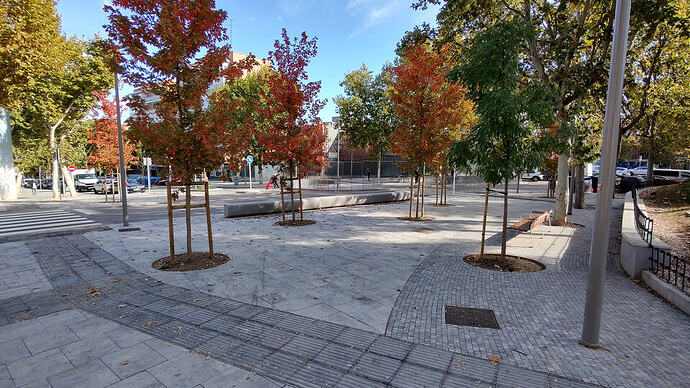 IMG_20251108_122548134_HDR