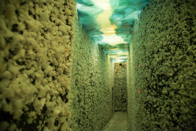 f748c5e083265d0a94ec75db83b4dce532a4361b