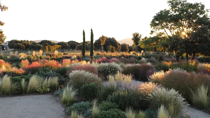 6. Jardín El Jaral