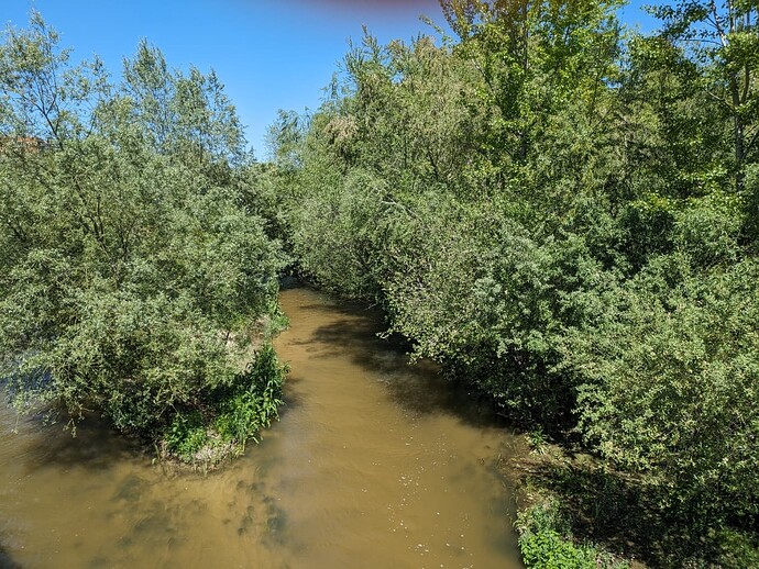 PXL_20240416_124028162