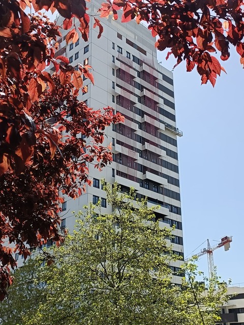 IMG20250425122702