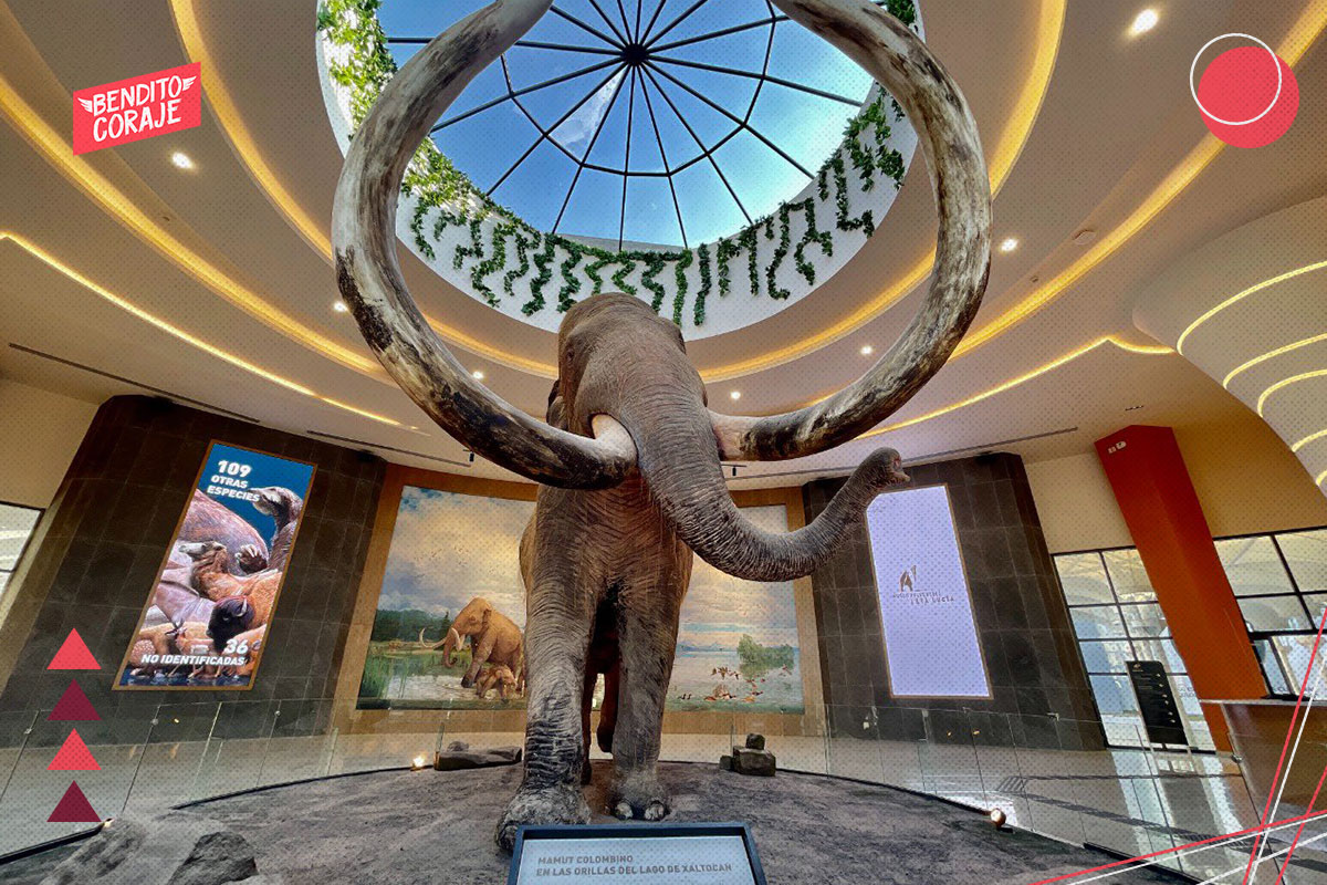 museo del mamut