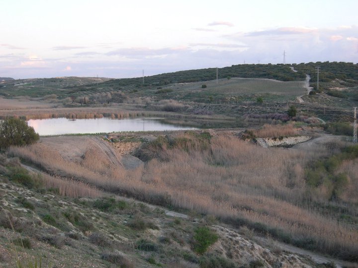 mar de ontigola 2