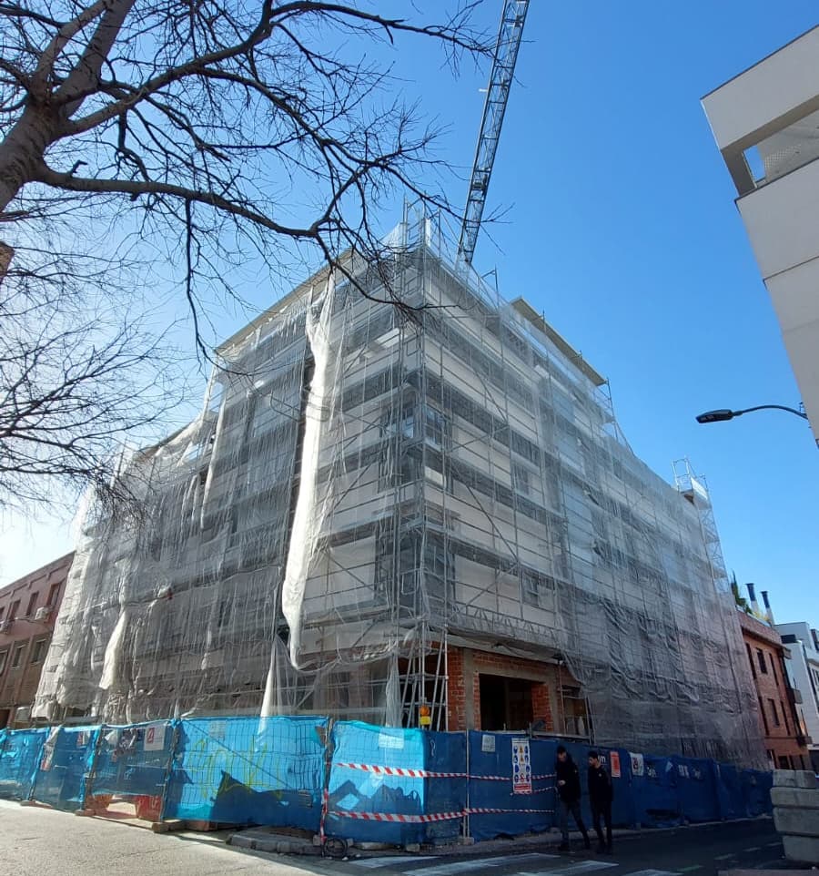 Cedros_esquina_Matilde_Landa