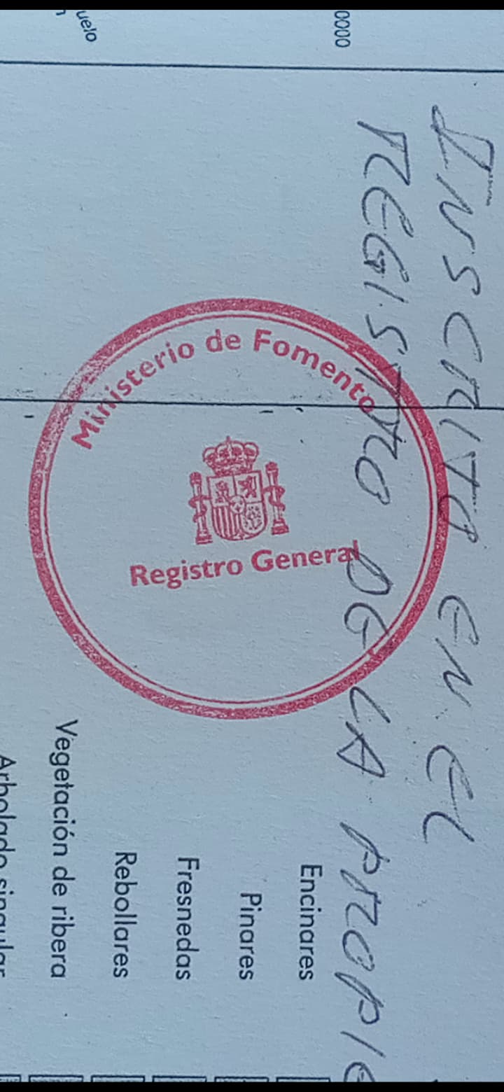 Screenshot_20250503-192025