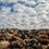 Juan_Fernandez